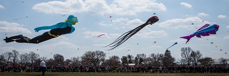 Kite-Festival-Detailed-Eckert
